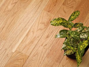 【新商品】クルミ無垢フローリング