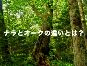 ナラ無垢フローリングとオーク無垢フローリングの違いとは？