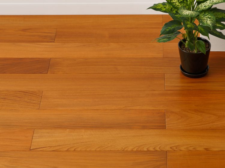 チーク複合板 販売スタート！