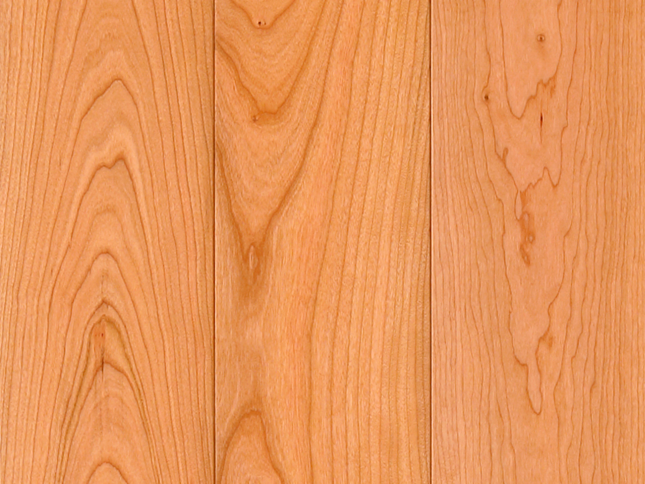 アメリカンチェリー【PSシリーズ 】