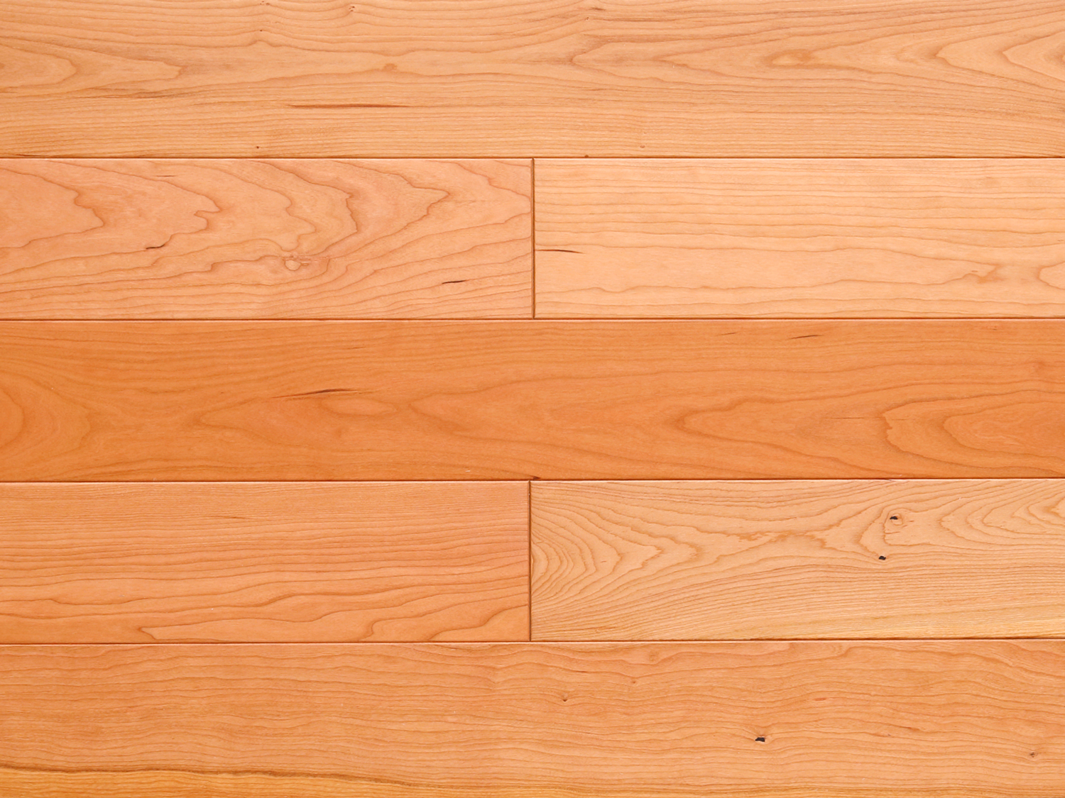 kesyunaページ　アメリカチェリーセット 000000002451_1_O1ltjlg.jpg