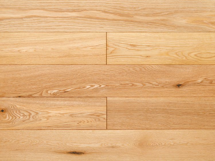 2022年 新商品のご案内