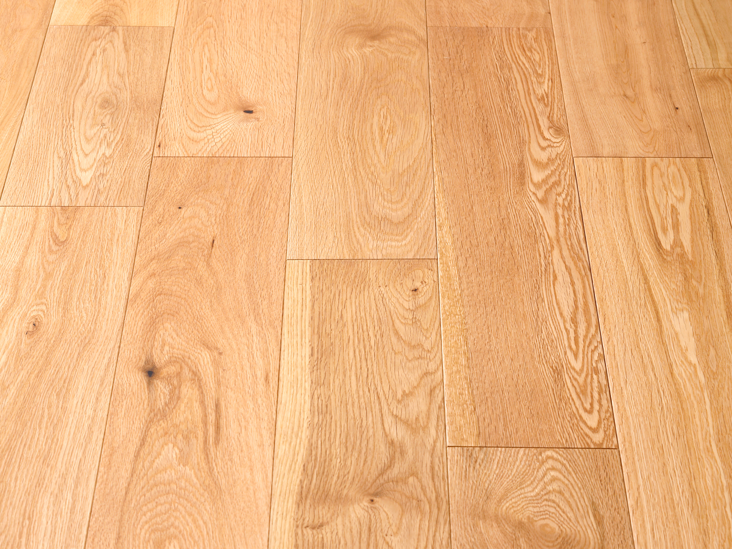 2021年 新商品のご案内