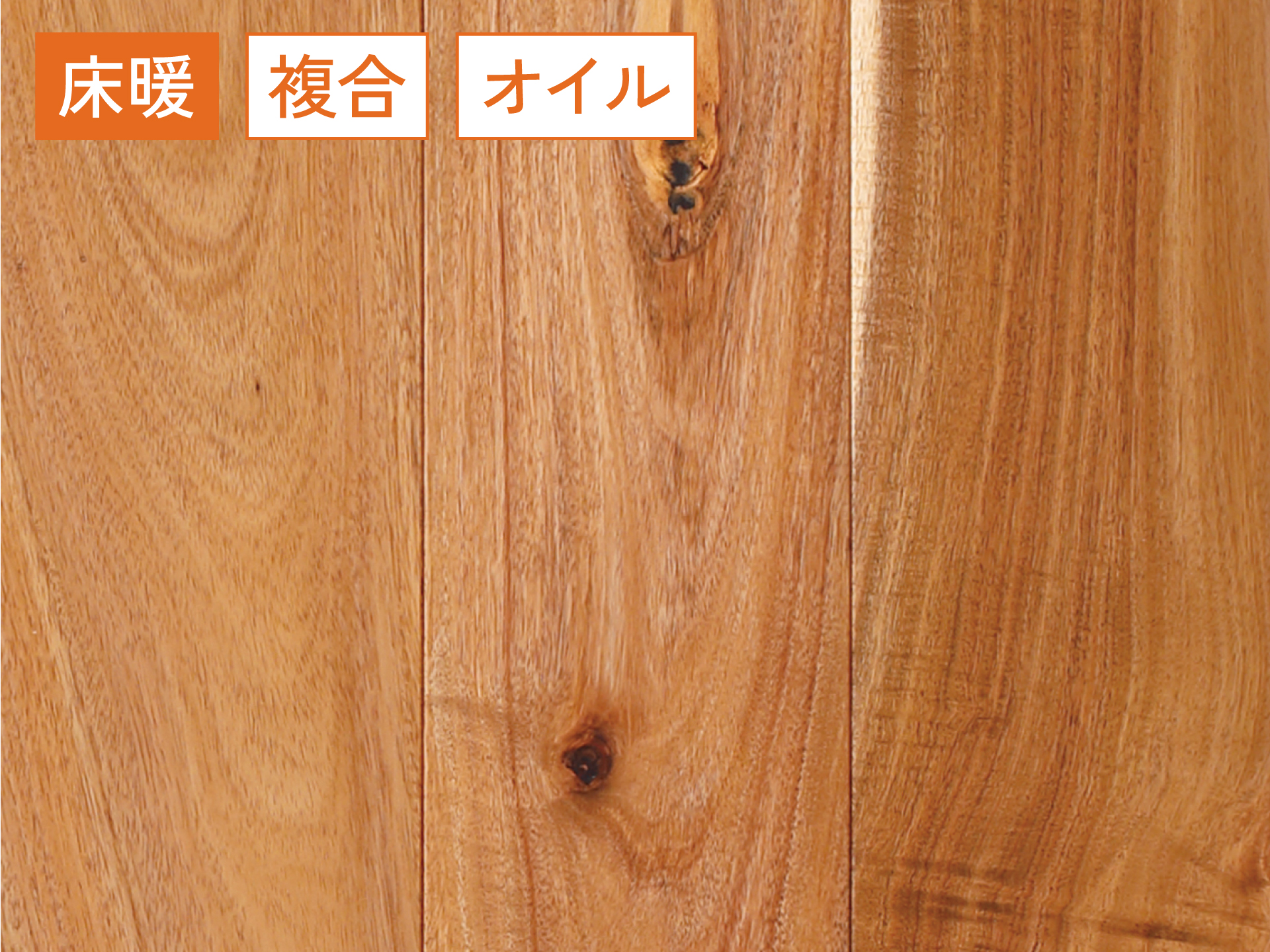 アカシア【NSシリーズ 】