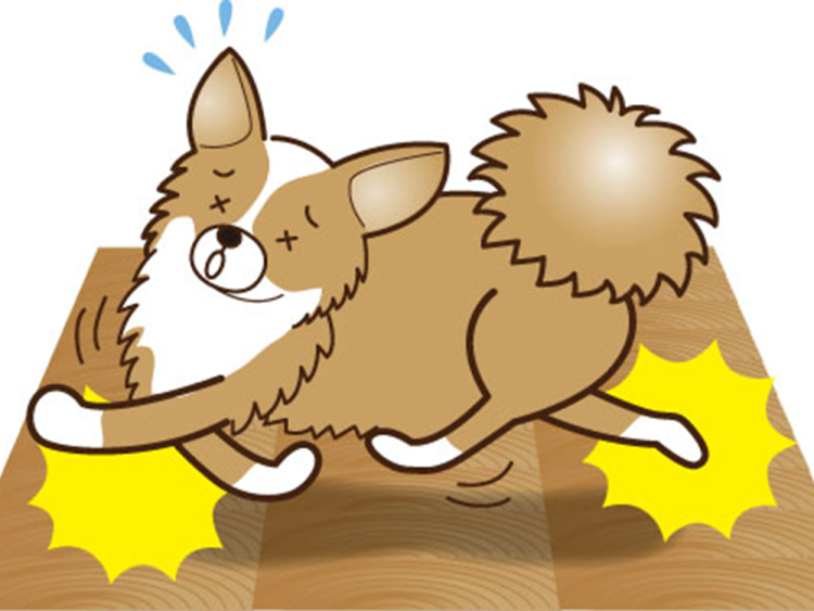 愛犬が無垢床で滑ってしまう4つの原因と対策とは？