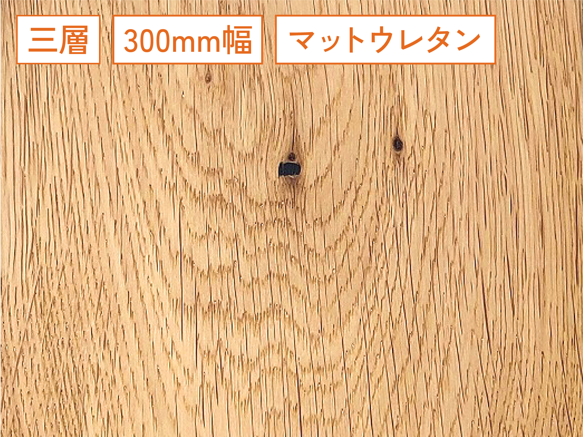 300mmワイドオーク